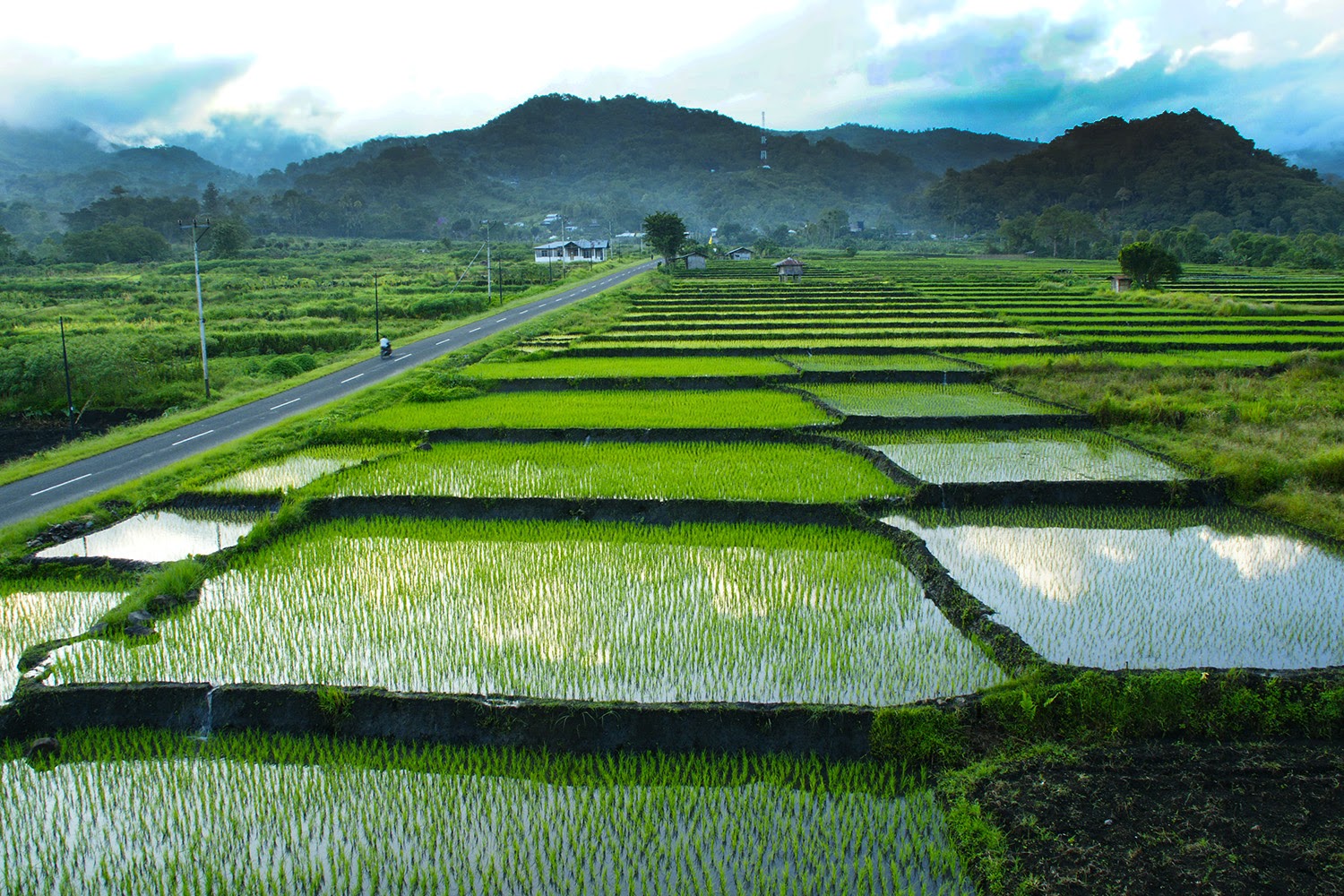 Day 01 : Arrival Ende Airport – Moni 