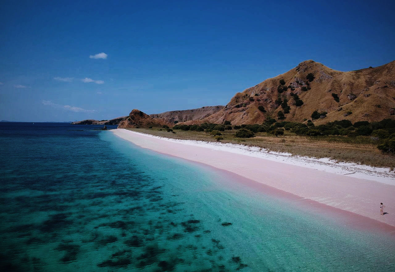 Day 07 : Komodo – Pink Beach – Labuan Bajo