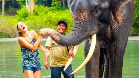 Day 3 Bukit Lawang – Tangkahan, Jungle Trekking & Elephant Bathing 