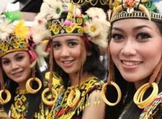 10 Days Orangutan Camp Leaky and Longhouse Experience